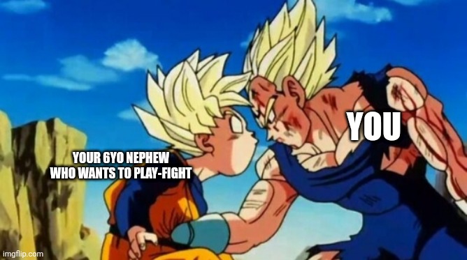 Sorry, not sorry, Jackson... | YOU; YOUR 6YO NEPHEW WHO WANTS TO PLAY-FIGHT | image tagged in majin vegeta | made w/ Imgflip meme maker