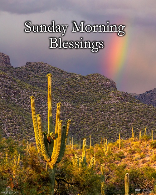 Sunday Morning Desert Rainbow | Sunday Morning 
Blessings | image tagged in sunday blessings,desert rainbow | made w/ Imgflip meme maker
