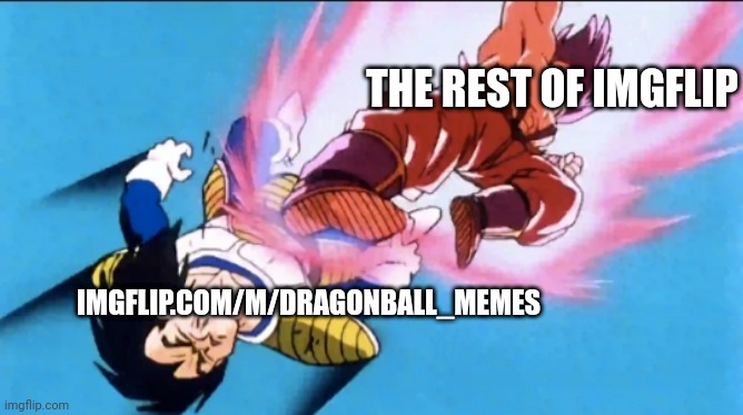 "I WILL NOT BE OUTMATCHED BY A LOW-LEVEL MEME'R!!!" | THE REST OF IMGFLIP; IMGFLIP.COM/M/DRAGONBALL_MEMES | image tagged in goku v vegeta | made w/ Imgflip meme maker