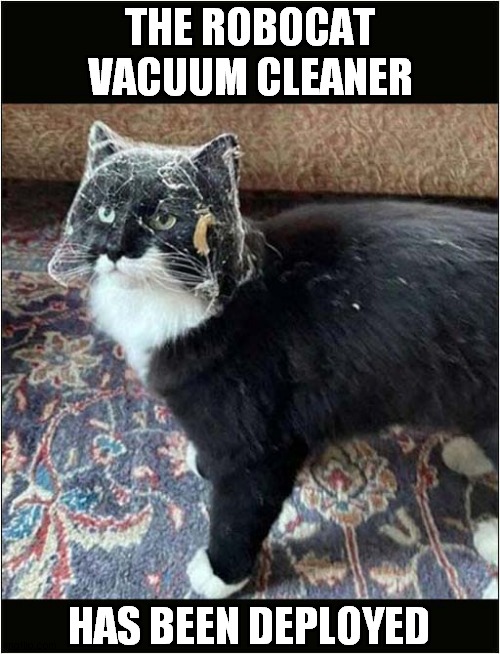 Trouble Cleaning Under The Sofa ? | THE ROBOCAT VACUUM CLEANER; HAS BEEN DEPLOYED | image tagged in cats,vacuum cleaner,sofa,cobwebs | made w/ Imgflip meme maker