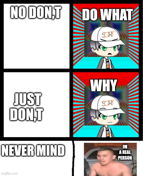 NO DON,T; DO WHAT; WHY; JUST DON,T; NEVER MIND; IM A REAL PERSON | image tagged in no dont | made w/ Imgflip meme maker