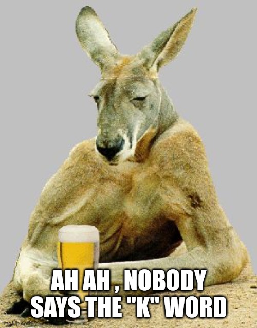 Cool Kangaroo | AH AH , NOBODY SAYS THE "K" WORD | image tagged in cool kangaroo | made w/ Imgflip meme maker
