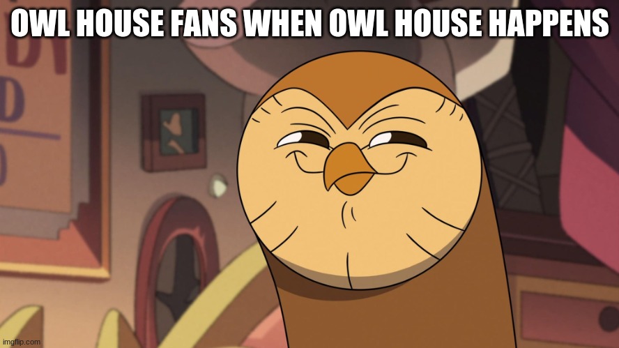 Hooty smirks | OWL HOUSE FANS WHEN OWL HOUSE HAPPENS | image tagged in hooty smirks | made w/ Imgflip meme maker