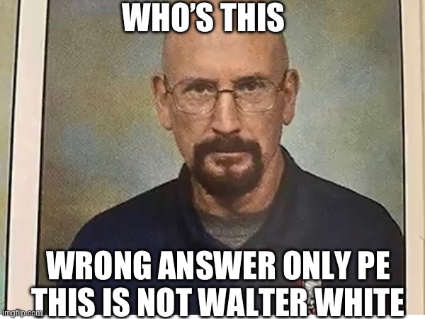 WHO’S THIS; WRONG ANSWER ONLY PE THIS IS NOT WALTER WHITE | image tagged in memes | made w/ Imgflip meme maker