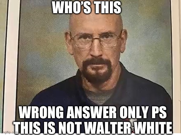 WHO’S THIS; WRONG ANSWER ONLY PS THIS IS NOT WALTER WHITE | image tagged in walter white | made w/ Imgflip meme maker