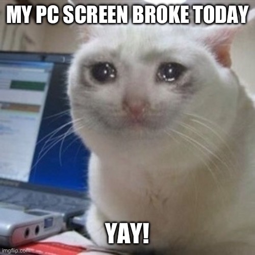 Thank GOD It’s still under warranty | MY PC SCREEN BROKE TODAY; YAY! | image tagged in crying cat | made w/ Imgflip meme maker