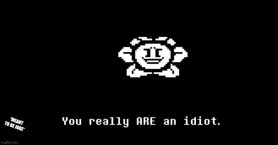 Undertale Flower You Really Are An Idiot | *MEANT TO BE JOKE* | image tagged in undertale flower you really are an idiot | made w/ Imgflip meme maker