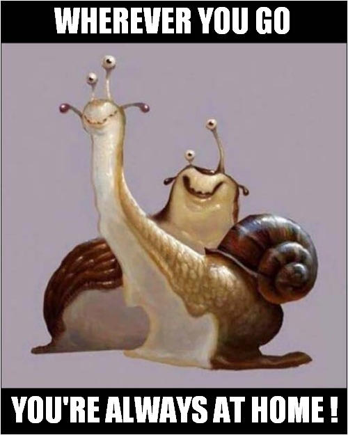 It's Good To Be A Snail ! | WHEREVER YOU GO; YOU'RE ALWAYS AT HOME ! | image tagged in snails,home | made w/ Imgflip meme maker