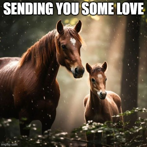 SENDING YOU SOME LOVE | made w/ Imgflip meme maker