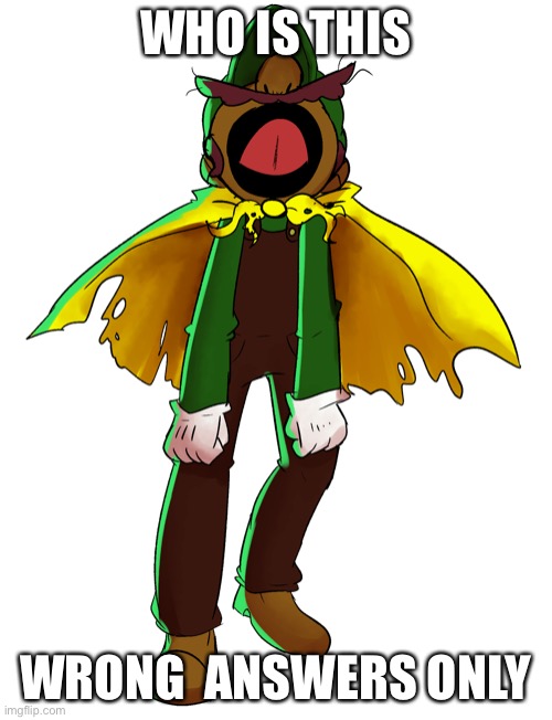 WHO IS THIS; WRONG  ANSWERS ONLY | image tagged in friday night funkin | made w/ Imgflip meme maker