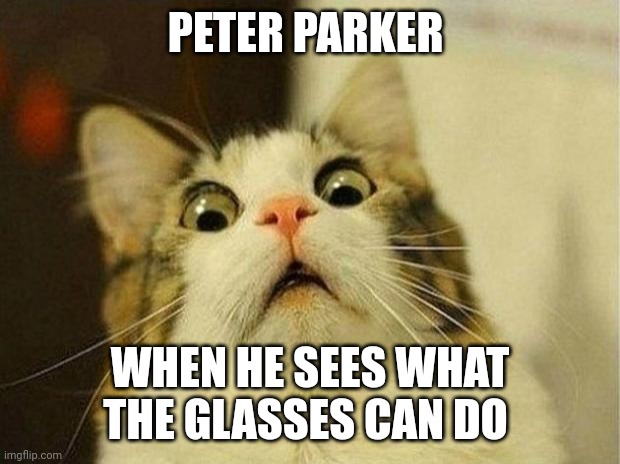 In my mind, there's no way Edith could've been entrusted to a teen | PETER PARKER; WHEN HE SEES WHAT THE GLASSES CAN DO | image tagged in memes,scared cat,marvel,spiderman | made w/ Imgflip meme maker