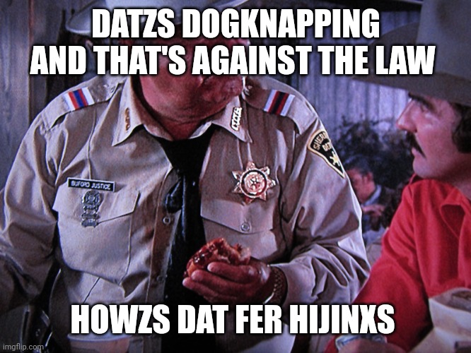 Buford T. Justice | DATZS DOGKNAPPING AND THAT'S AGAINST THE LAW HOWZS DAT FER HIJINXS | image tagged in buford t justice | made w/ Imgflip meme maker
