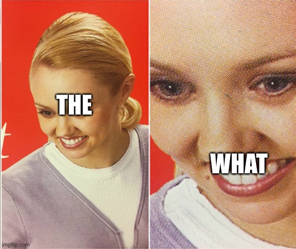 Wait...WHAT | THE WHAT | image tagged in wait what | made w/ Imgflip meme maker