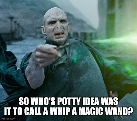 SO WHO'S POTTY IDEA WAS IT TO CALL A WHIP A MAGIC WAND? | made w/ Imgflip meme maker