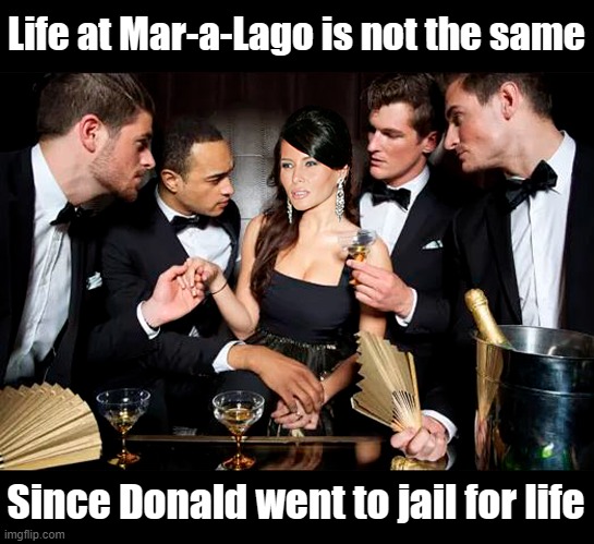 Melania adjusts to life at Mar-a-Lago without 'The Donald' | Life at Mar-a-Lago is not the same; Since Donald went to jail for life | image tagged in melania trump,mar-a-lago,donald trump,jail | made w/ Imgflip meme maker