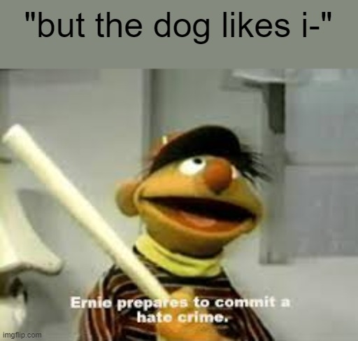 Ernie Prepares to commit a hate crime | "but the dog likes i-" | image tagged in ernie prepares to commit a hate crime | made w/ Imgflip meme maker