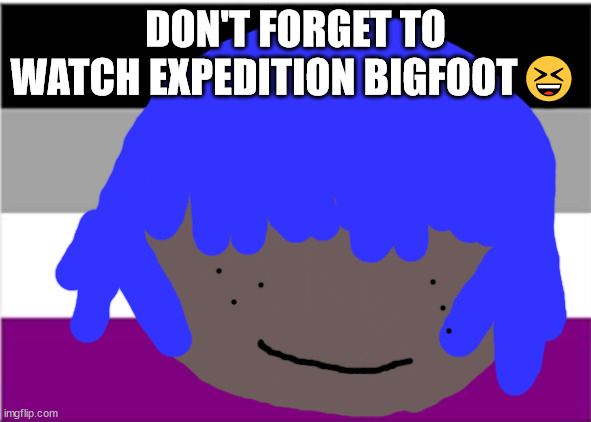 bigfoot | DON'T FORGET TO WATCH EXPEDITION BIGFOOT😆 | image tagged in asexual flag | made w/ Imgflip meme maker