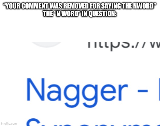 “YOUR COMMENT WAS REMOVED FOR SAYING THE NWORD”
THE “N WORD” IN QUESTION: | made w/ Imgflip meme maker