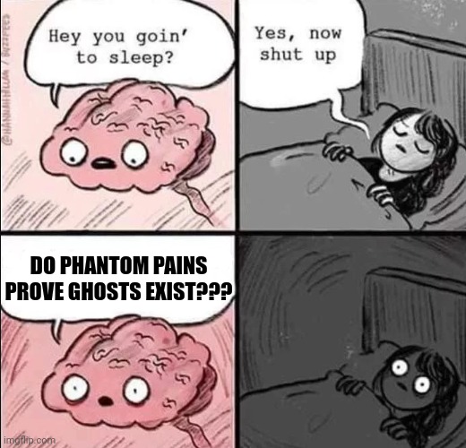 Do phantom pains prove ghosts exist??? | DO PHANTOM PAINS PROVE GHOSTS EXIST??? | image tagged in waking up brain | made w/ Imgflip meme maker