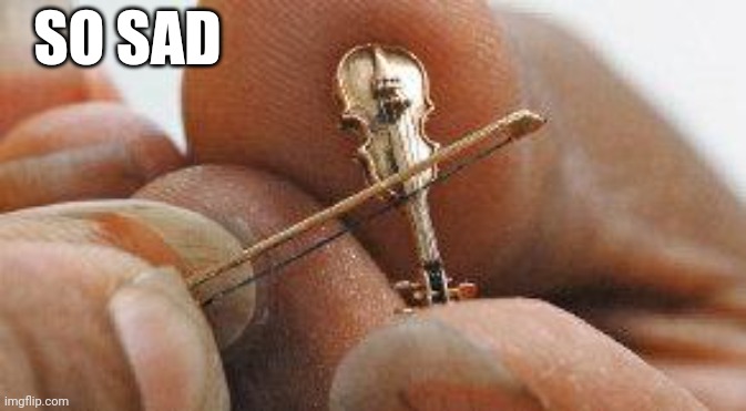 Sad so g | SO SAD | image tagged in worlds smallest violin | made w/ Imgflip meme maker