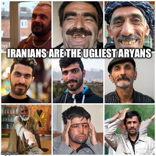 AryanLightskinsoul Ugliest indo aryans are the Iranians | image tagged in ugly,iran,ugly face,ugly guy,fugly,be careful who you call ugly in middle school | made w/ Imgflip meme maker