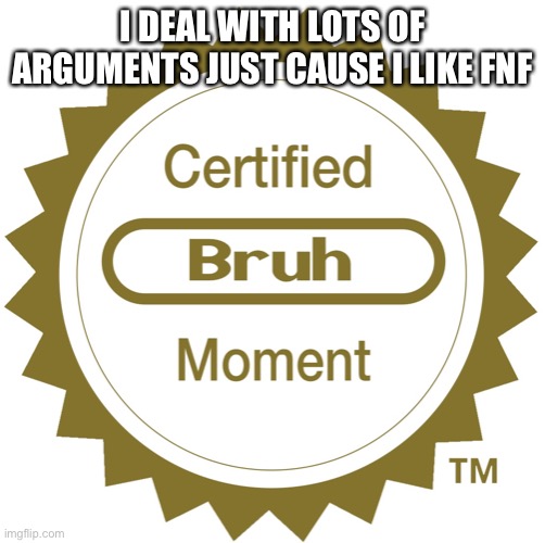 It really is a bruh moment | I DEAL WITH LOTS OF ARGUMENTS JUST CAUSE I LIKE FNF | image tagged in certified bruh moment | made w/ Imgflip meme maker