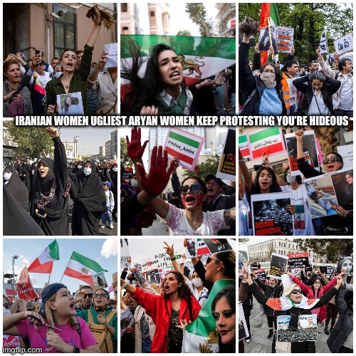 AryanLightskinsoul your women are the ugliest women in the world | IRANIAN WOMEN UGLIEST ARYAN WOMEN KEEP PROTESTING YOU’RE HIDEOUS | image tagged in ugly,ugly woman,ugly girl,iran,middle east,fugly | made w/ Imgflip meme maker