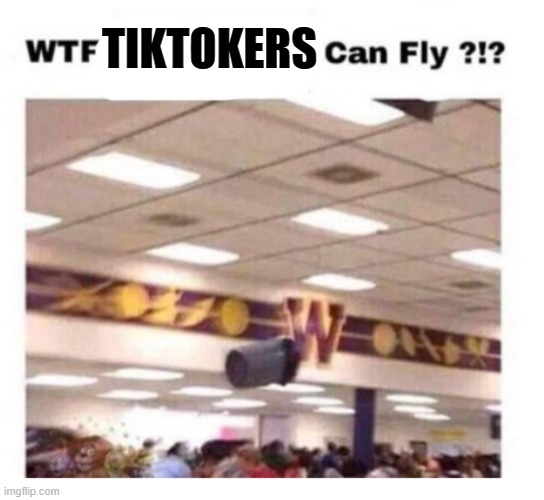 WTF --------- Can Fly ?!? | TIKTOKERS | image tagged in wtf --------- can fly | made w/ Imgflip meme maker