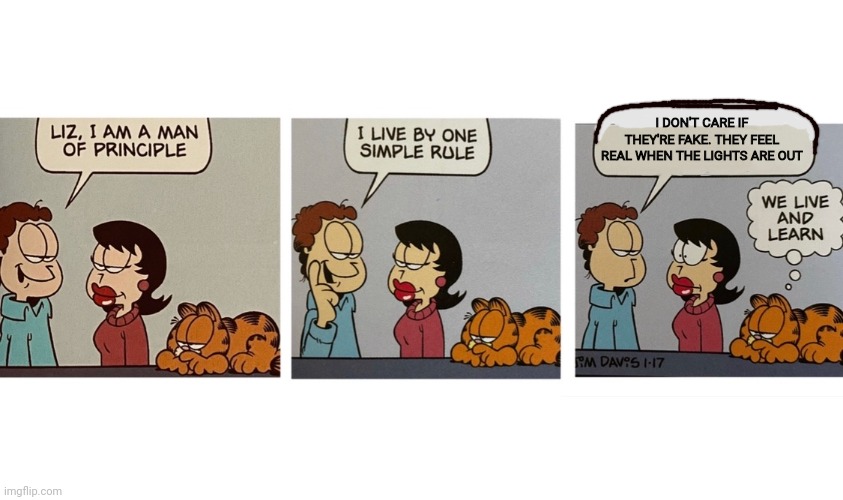 Life lessons with Jon | I DON'T CARE IF THEY'RE FAKE. THEY FEEL REAL WHEN THE LIGHTS ARE OUT | image tagged in i am a man of principal jon arbuckle,stop it,stop it get some help,jon,garfield | made w/ Imgflip meme maker