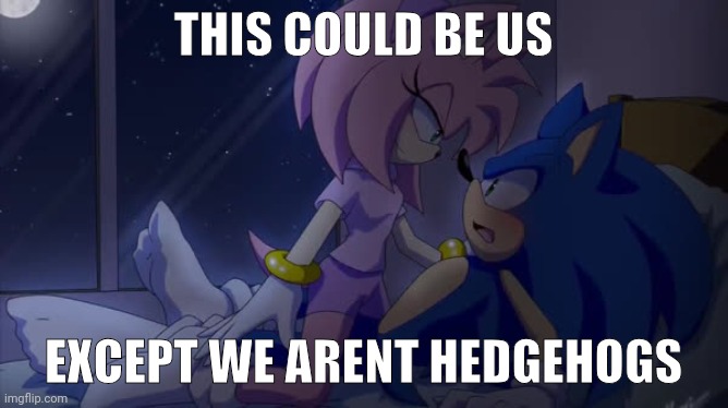 @polly <3 | THIS COULD BE US; EXCEPT WE ARENT HEDGEHOGS | made w/ Imgflip meme maker