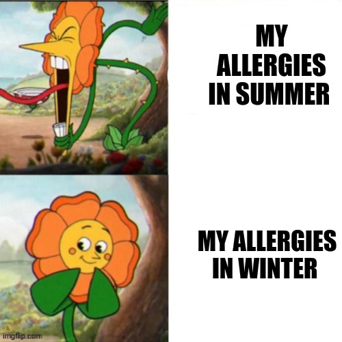 The inconsistency of my allergies is surprising | MY ALLERGIES IN SUMMER; MY ALLERGIES IN WINTER | image tagged in sunflower,allergies | made w/ Imgflip meme maker