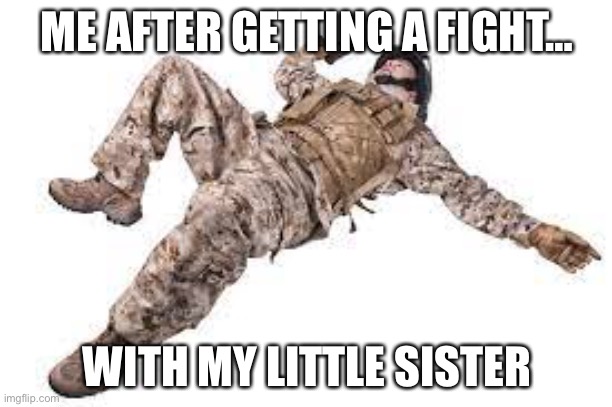 Little sisters | ME AFTER GETTING A FIGHT…; WITH MY LITTLE SISTER | image tagged in sister,fight,soildeir | made w/ Imgflip meme maker