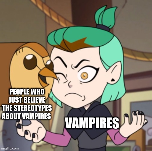 People who just believe the stereotypes about vampires | PEOPLE WHO JUST BELIEVE THE STEREOTYPES ABOUT VAMPIRES; VAMPIRES | image tagged in hooty in amity's space the owl house | made w/ Imgflip meme maker