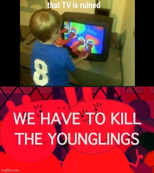 We have to kill the younglings | image tagged in we have to kill the younglings | made w/ Imgflip meme maker