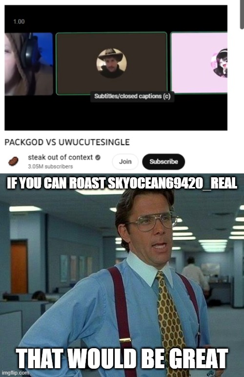 imagine if this existed | IF YOU CAN ROAST SKYOCEAN69420_REAL; THAT WOULD BE GREAT | image tagged in memes,that would be great | made w/ Imgflip meme maker