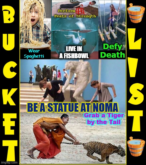 My Stupid Bucket List... What's Yours! | Perform       
Feats of Strength; Defy
Death; LIVE IN A FISHBOWL; Wear
Spaghetti; BE A STATUE AT NOMA; Grab a Tiger by the Tail | image tagged in vince vance,bucket list,meme,statue,tigers,spaghetti | made w/ Imgflip meme maker