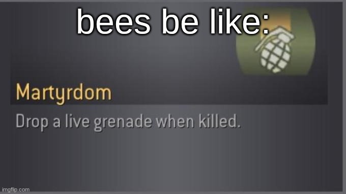 Martyrdom | bees be like: | image tagged in martyrdom | made w/ Imgflip meme maker