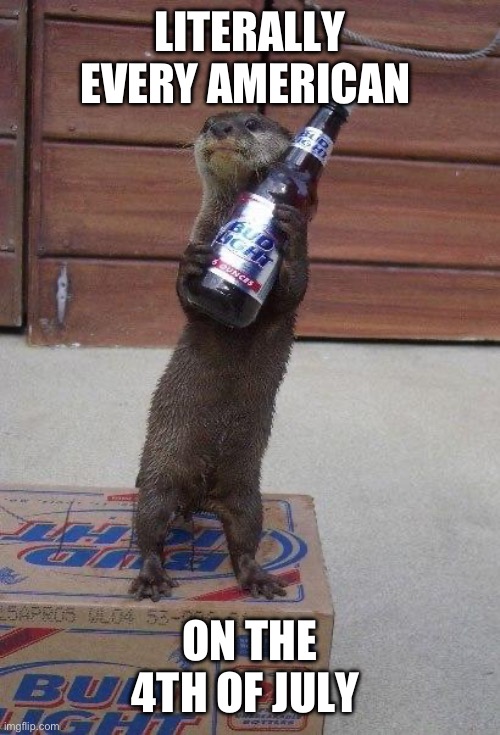 American stereotypes are always better with otters. | LITERALLY EVERY AMERICAN; ON THE 4TH OF JULY | image tagged in beer otter,otter,otters,4th of july,funny,memes | made w/ Imgflip meme maker