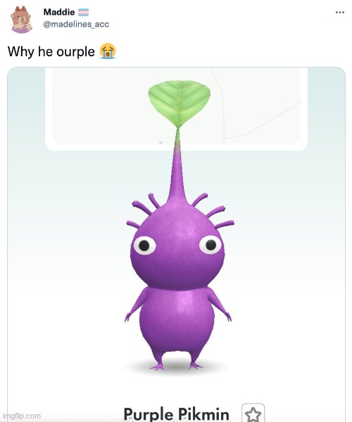 murple | image tagged in surple,burple,qurple,zurple,turple | made w/ Imgflip meme maker