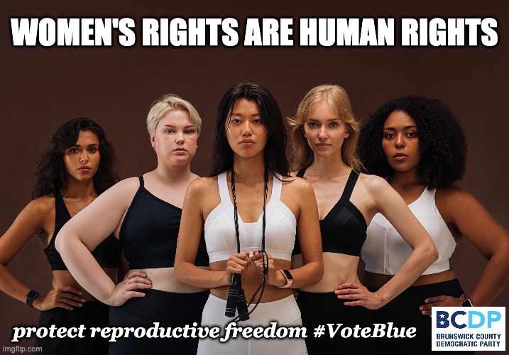 Women's Rights Are Human Rights | WOMEN'S RIGHTS ARE HUMAN RIGHTS; protect reproductive freedom #VoteBlue | image tagged in women rights,freedom,human rights,pro choice | made w/ Imgflip meme maker