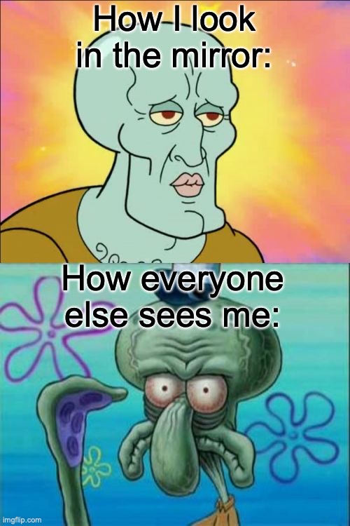 So true | How I look in the mirror:; How everyone else sees me: | image tagged in memes,squidward | made w/ Imgflip meme maker