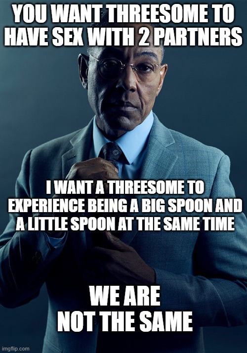 Gus Fring we are not the same | YOU WANT THREESOME TO HAVE SEX WITH 2 PARTNERS; I WANT A THREESOME TO EXPERIENCE BEING A BIG SPOON AND A LITTLE SPOON AT THE SAME TIME; WE ARE NOT THE SAME | image tagged in gus fring we are not the same | made w/ Imgflip meme maker