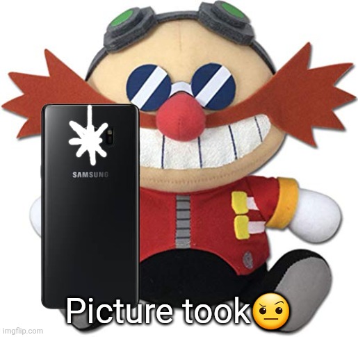 Eggman plush | Picture took? | image tagged in eggman plush | made w/ Imgflip meme maker