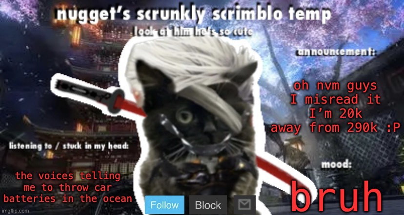Nugget’s Scrunkly Scrimblo Temp | oh nvm guys I misread it
I’m 20k away from 290k :P; the voices telling me to throw car batteries in the ocean; bruh | image tagged in nugget s scrunkly scrimblo temp | made w/ Imgflip meme maker