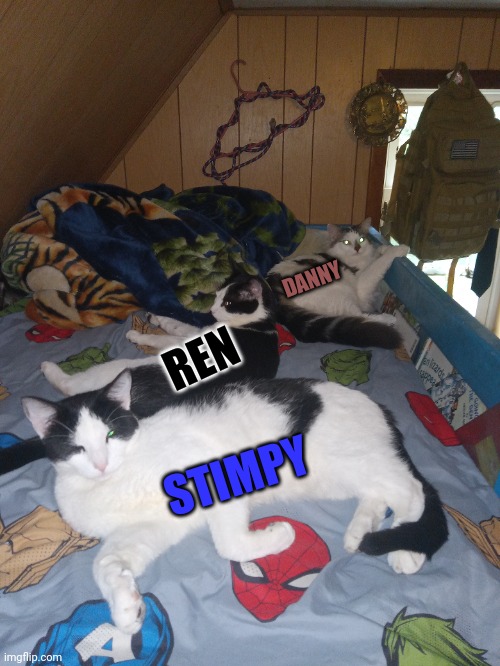 The Black And White Brotherhood | DANNY; REN; STIMPY | image tagged in stimpy,ren,danny,cats | made w/ Imgflip meme maker
