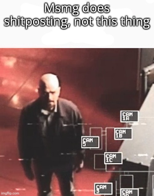 i saw what you deleted | Msmg does shitposting, not this thing | image tagged in i saw what you deleted | made w/ Imgflip meme maker
