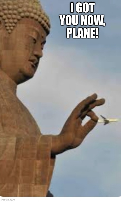Statue pulling plane | I GOT YOU NOW, PLANE! | image tagged in plane | made w/ Imgflip meme maker