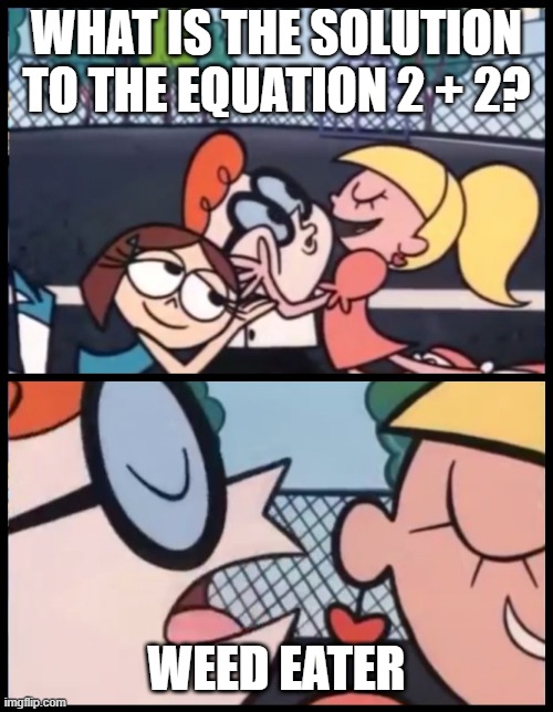 Now THAT'S Funny! | WHAT IS THE SOLUTION TO THE EQUATION 2 + 2? WEED EATER | image tagged in memes,say it again dexter | made w/ Imgflip meme maker