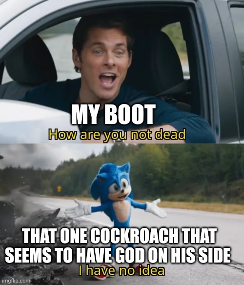 That cockroach just won't die | MY BOOT; THAT ONE COCKROACH THAT SEEMS TO HAVE GOD ON HIS SIDE | image tagged in sonic i have no idea | made w/ Imgflip meme maker
