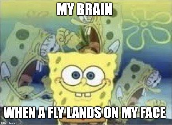 It landed on my face | MY BRAIN; WHEN A FLY LANDS ON MY FACE | image tagged in spongebob internal screaming | made w/ Imgflip meme maker